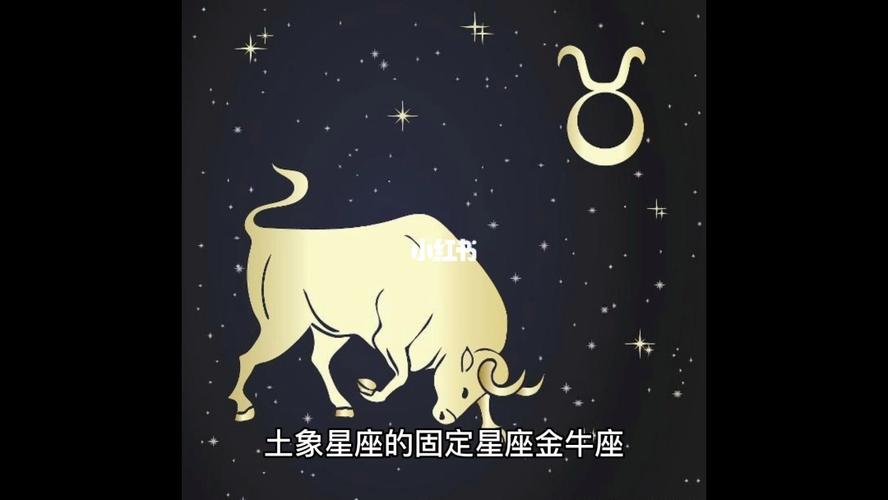 狮子座怕什么星座？性格特点与星座相性分析