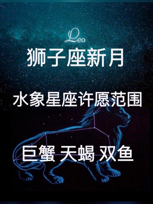 狮子座对其他星座的看法