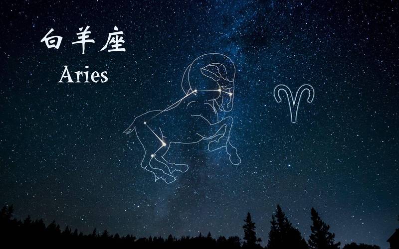 狮子座配什么星座最好？寻找完美匹配的星座指南