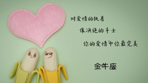 处女座：追求完美的契合