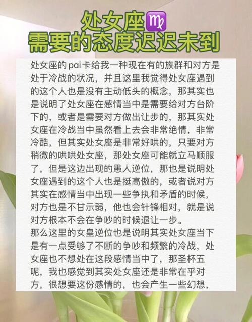 结语：处女座的全面理解