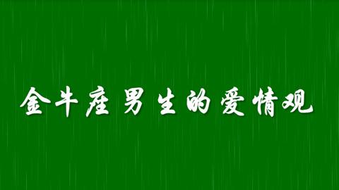 星座金牛座男，稳重务实的守护者