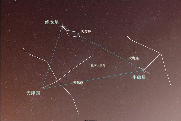 白羊金牛座是什么星座？探索星座交界的奥秘