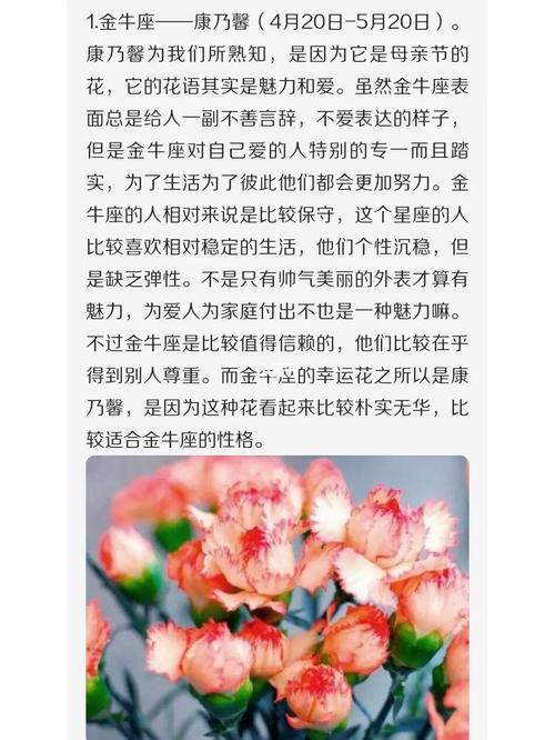 花语星座金牛座，探索金牛座的浪漫与忠诚