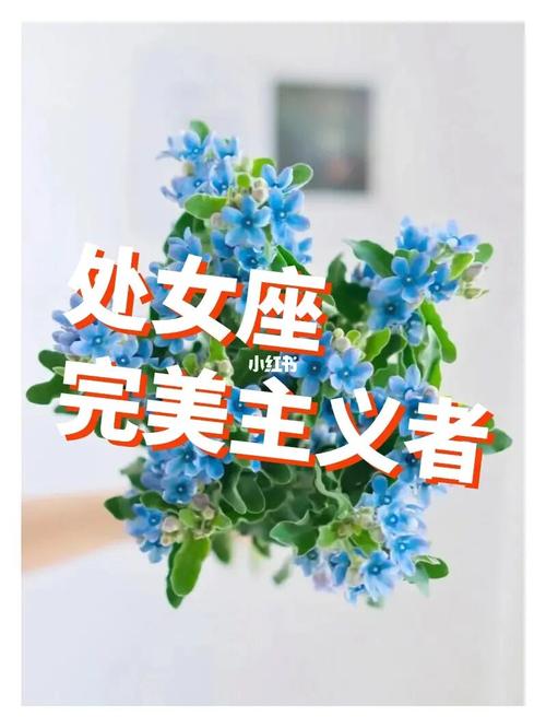 摩羯座：事业心与责任感