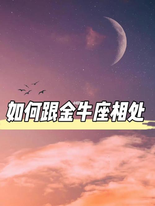 金牛座座什么星座最好？星座配对的奥秘