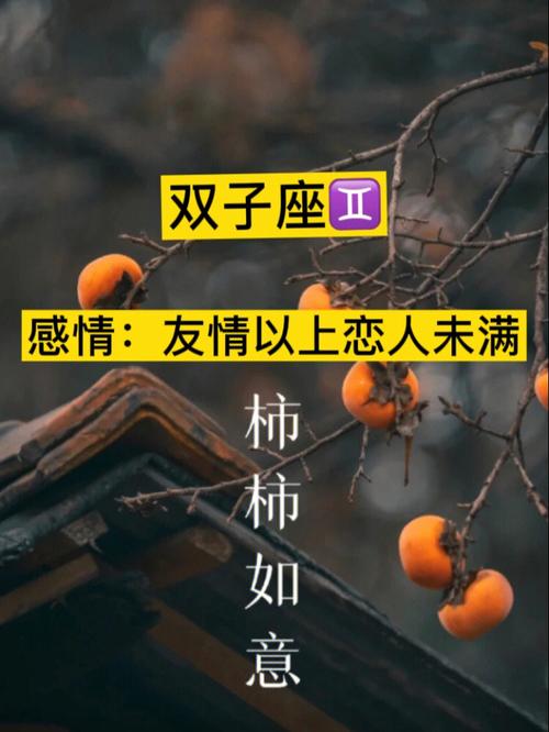 结语：双子座的多面人生