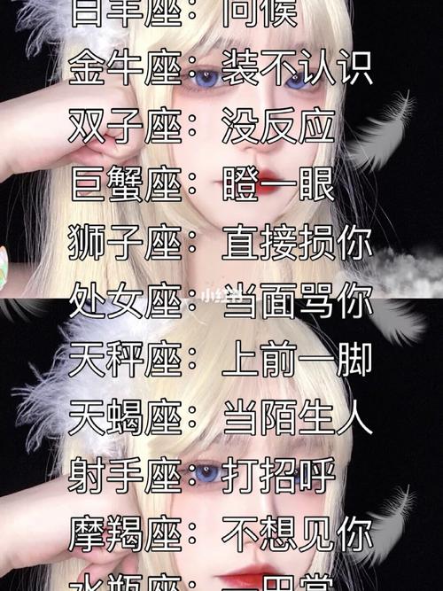 双子座与处女座的摩擦