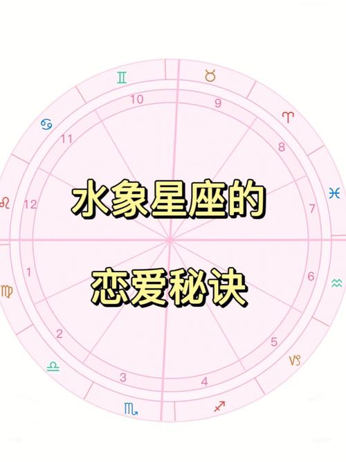 水瓶座最喜欢什么星座？探索星座间的相互吸引