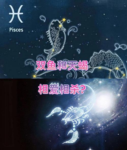 和双鱼座搭配的星座，寻找灵魂伴侣的星座指南