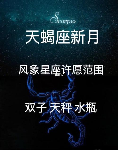 天蝎座与风象星座的相性