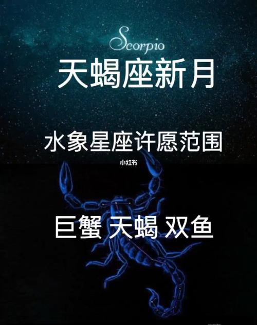 天蝎座是什么象星座？深入探索天蝎座的神秘特质