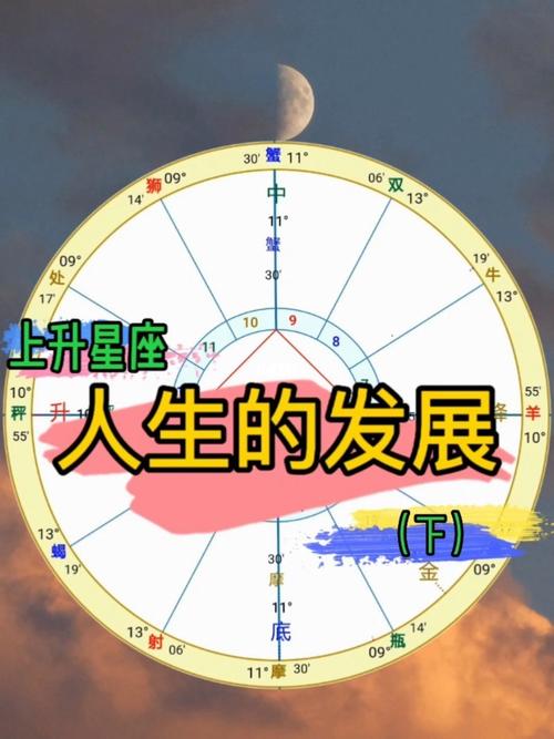 结论：星座的多元价值