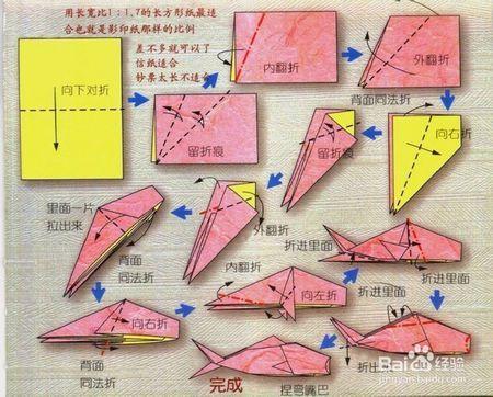 星座折纸双鱼座的未来发展