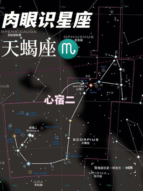 天蝎座星座图案，天蝎座星座图标