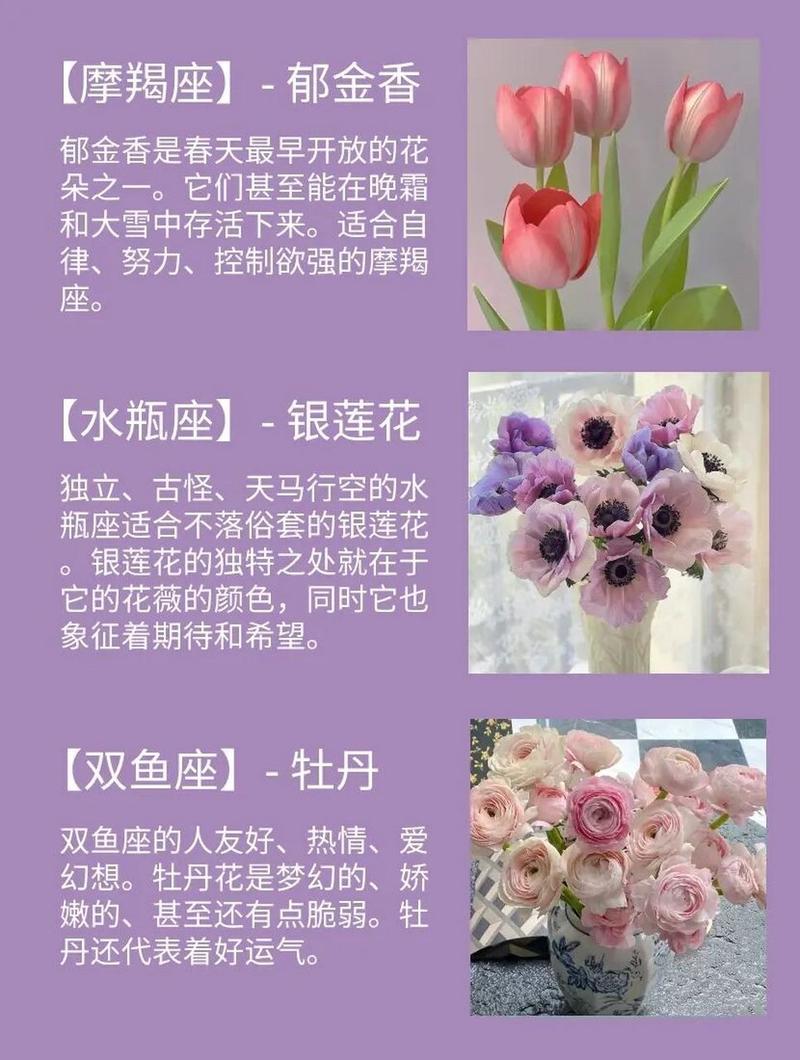 天蝎座的守护花是什么