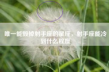 唯一治得住射手座的星座是什么