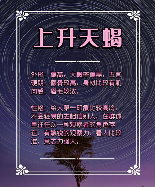 天蝎座上升是什么星座