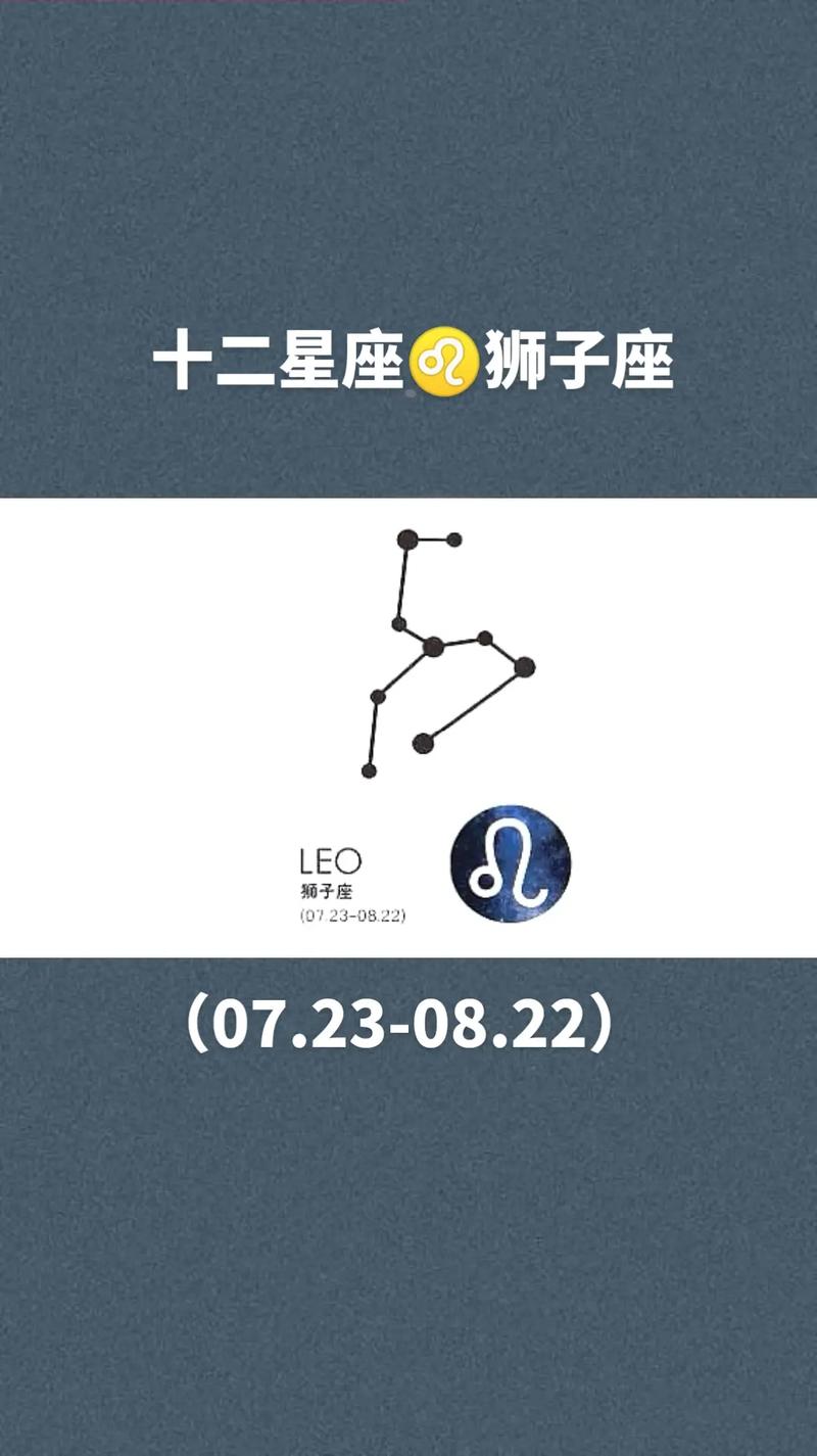 12星座狮子座（12星座狮子座简笔画）