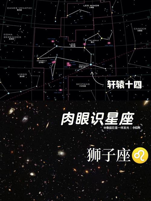 十二星座狮子座视频（十二星座狮子座的头像）