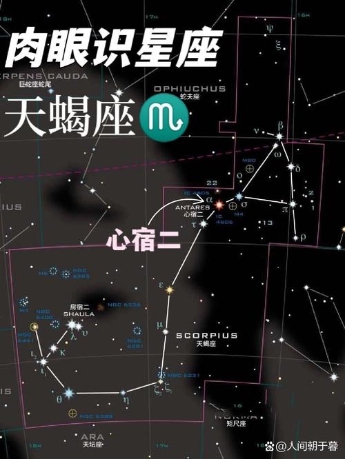 12星座中天蝎座排第几名?