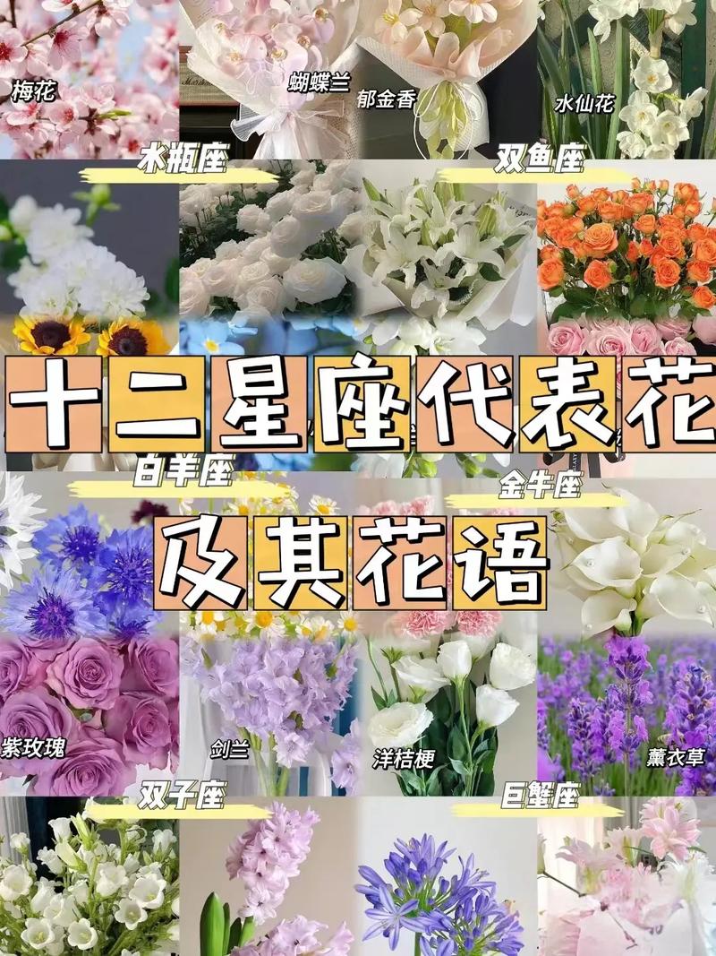 金牛座花的花语是什么?求大神帮助