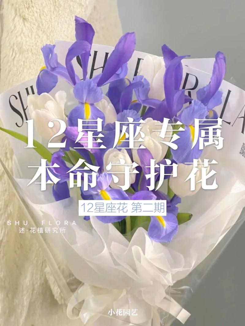 12星座的守护花各是什么?