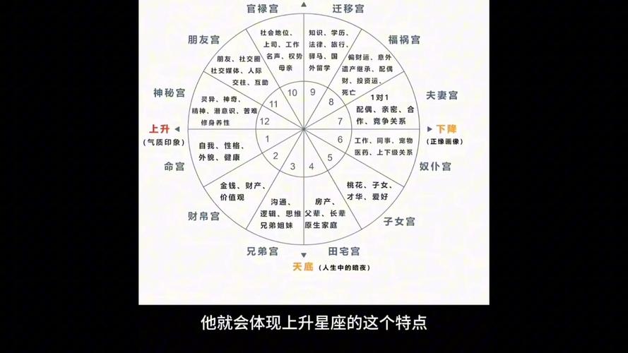 12星座落第一宫头,看你今生最需要找到什么?