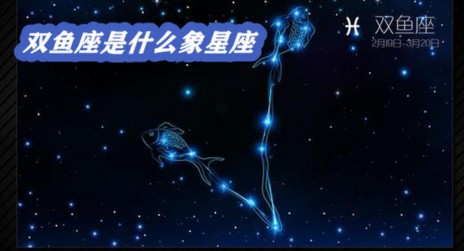 双鱼座是什么象星座