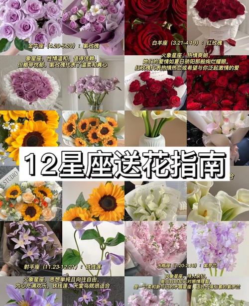 男朋友必知12星座送花指南