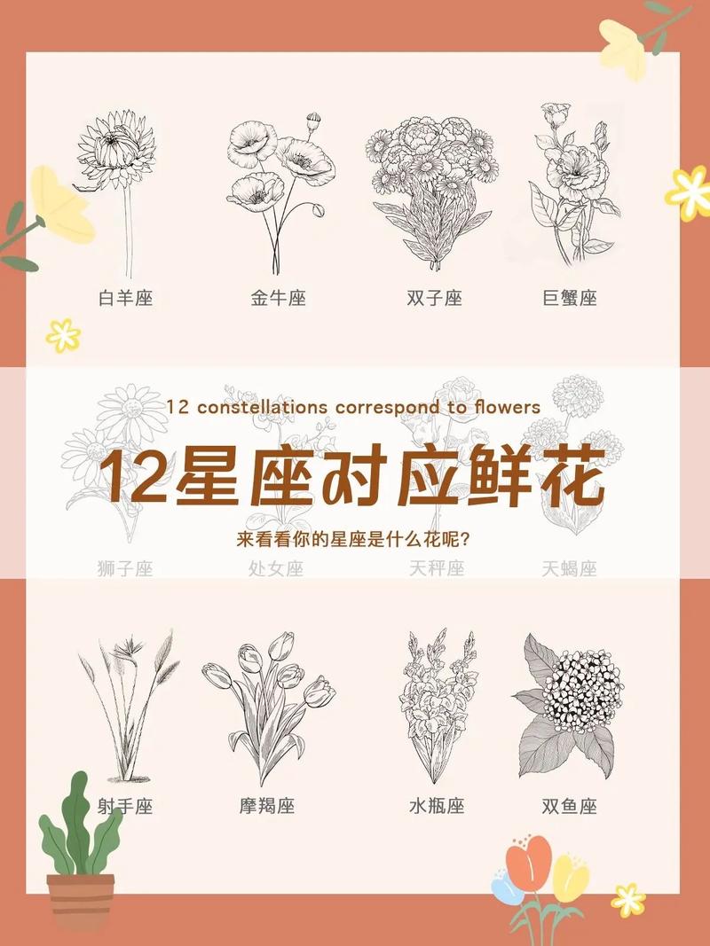 双子座星座花？双子星座的幸运花