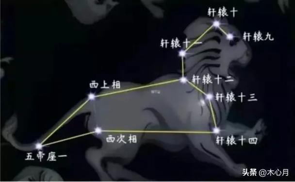 狮子座的下一个星座是什么星座?