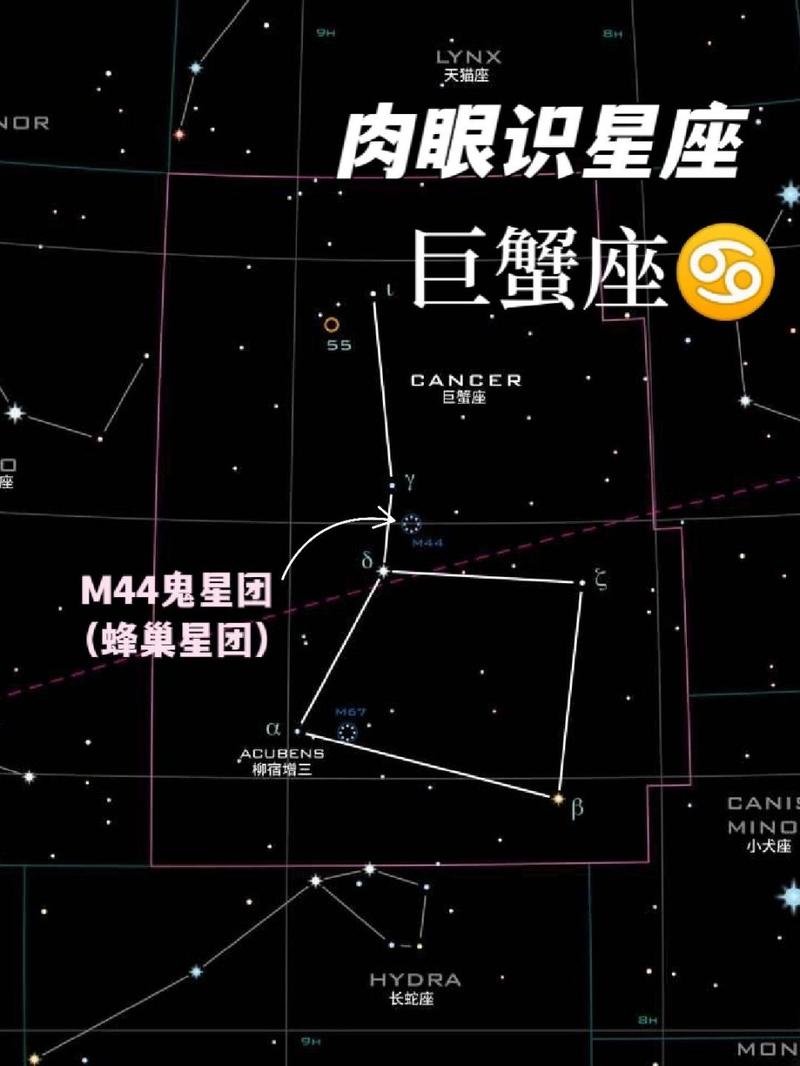 巨蟹座是星座第几？巨蟹星座是几号