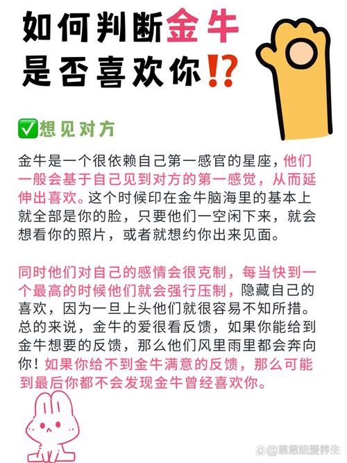 金牛男真喜欢一个人的表现