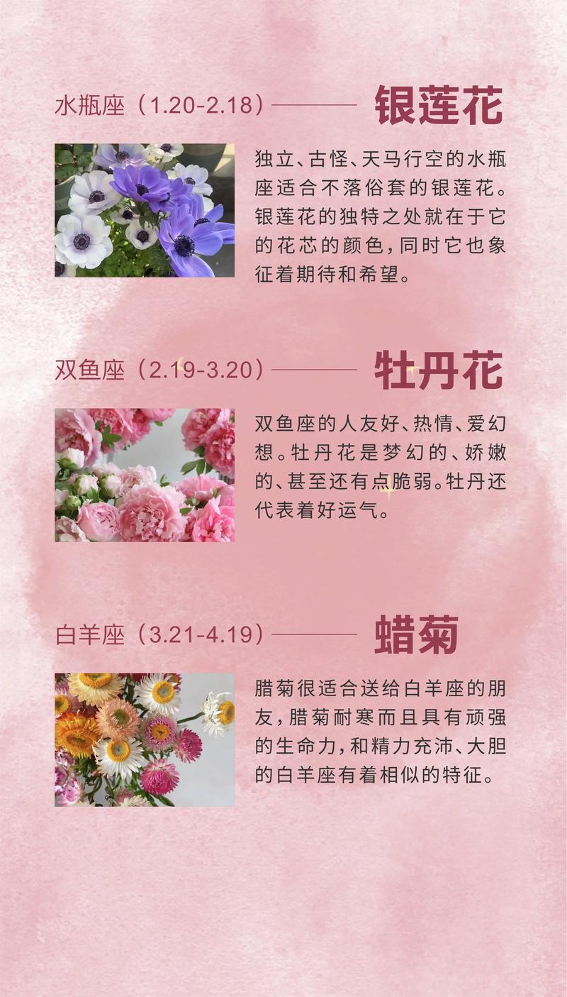 9月26是什么星座(生日9月26是什么星座)