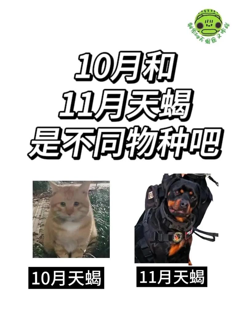 11月天蝎比10月天蝎凶，10月天蝎vs11月天蝎哪个好