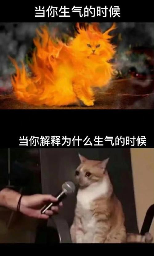 狮子座的性格