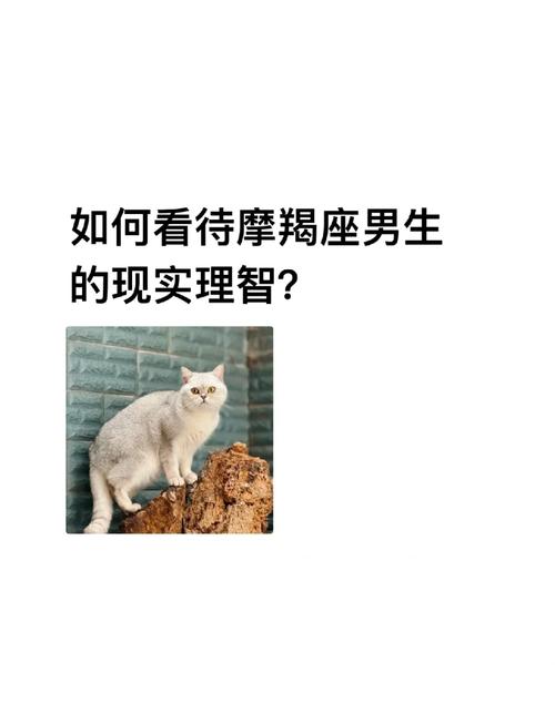 摩羯座的男生对待感情的看法是什么?