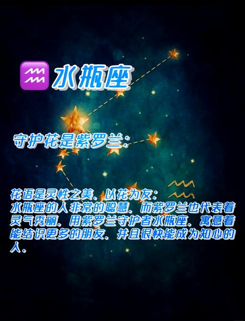 愿意守护水瓶的星座