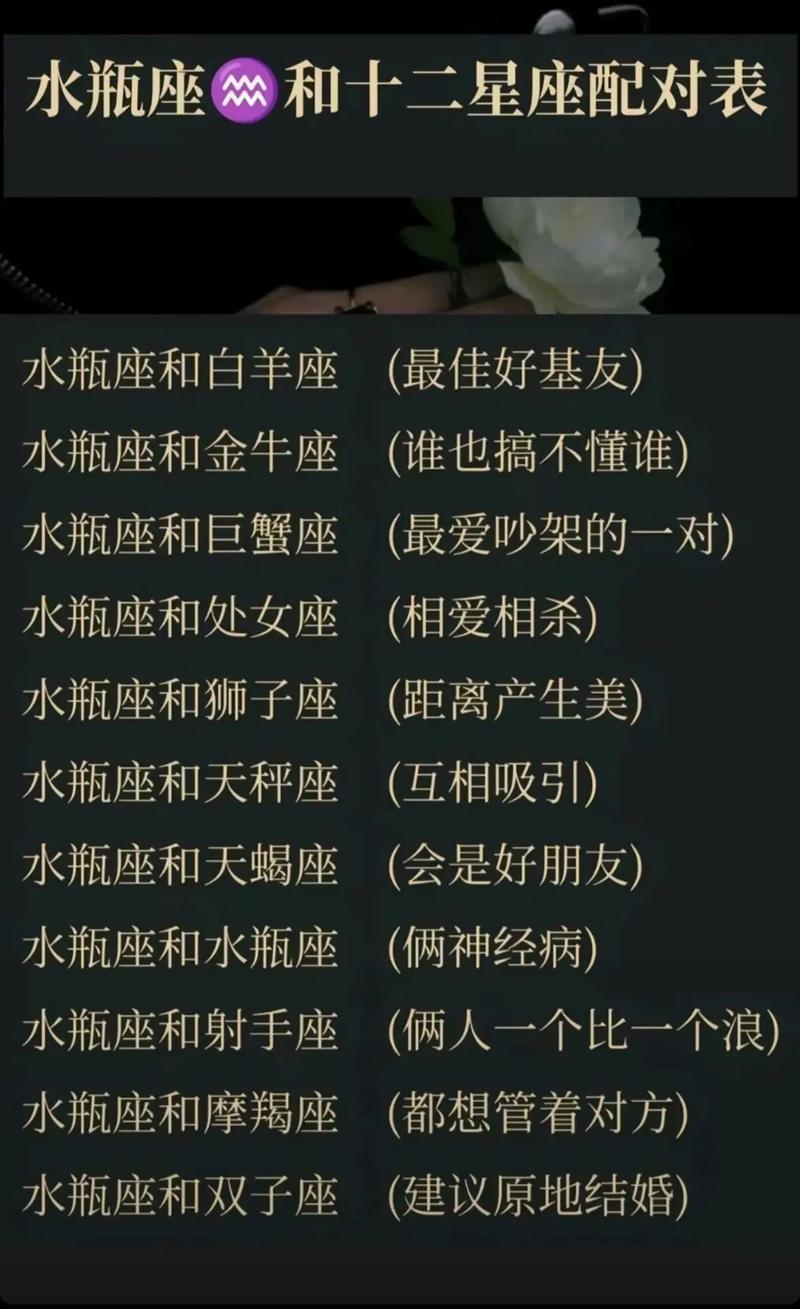 水瓶座和什么星座合拍？水瓶座和什么星座合得来?