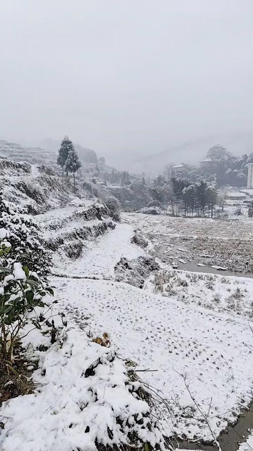 湖南怀化市芷江县的天气怎么