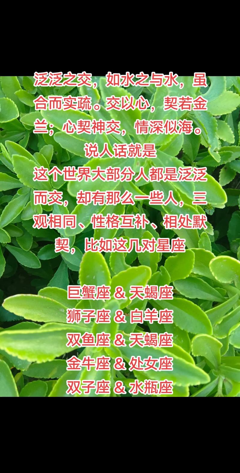 摩羯座标志图片