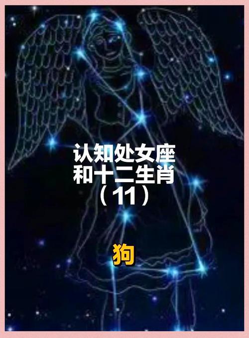 12生肖都是什么星座,12生肖各代表什么星座