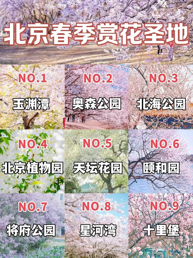 春季赏花去处国内赏花去哪里