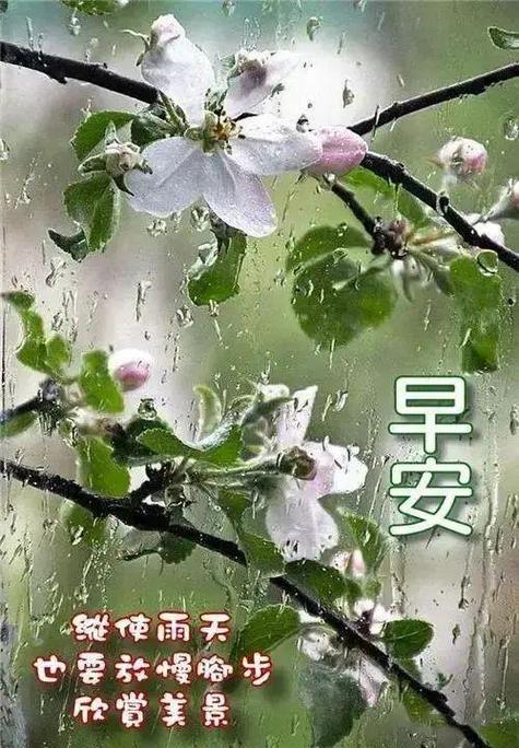 沧州地区今天晚上有雨吗?